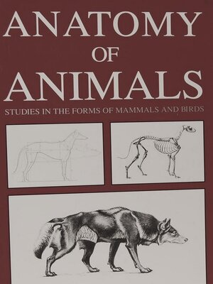 cover image of Anatomy of Animals